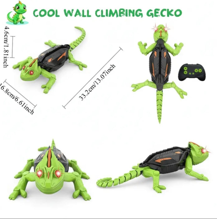 GoGo Gecko